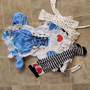 Alice and Wonderland Costume